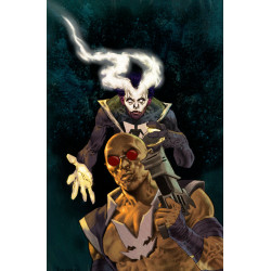 VALIANT BEYOND: TALES OF THE SHADOWMAN 8--LEGACY OF LEROI 2 VARIANT D (AZAMOR FULL ART)