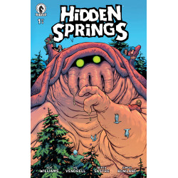 HIDDEN SPRINGS 1 (CVR B) (PYE PARR)
