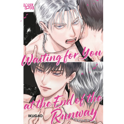 WAITING FOR YOU AT THE END OF THE RUNWAY