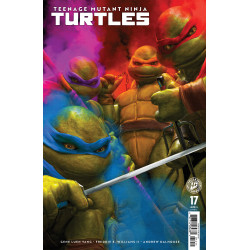 TEENAGE MUTANT NINJA TURTLES 17 VARIANT C (SPEARS)
