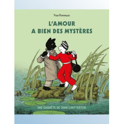 L AMOUR A BIEN DES MYSTERES UNE ENQUETE DE JOHN CHATTERTON