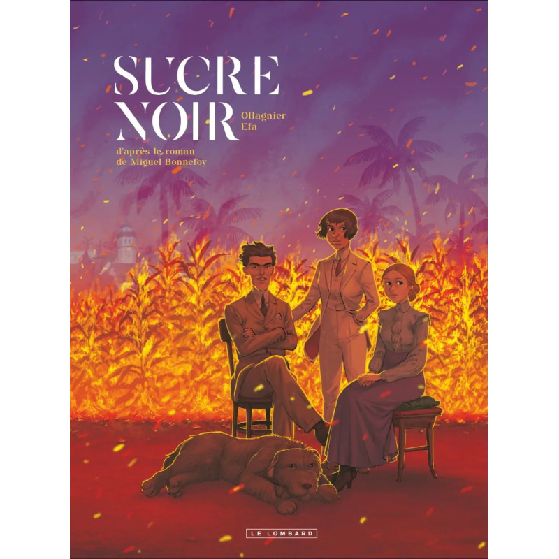 SUCRE NOIR