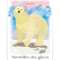 MERVEILLES DES GLACES
