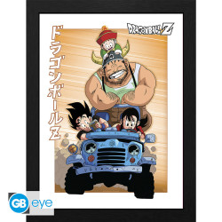 DRAGON BALL TIRAGE ENCADRE VOYAGE FAMILIALE 30 X 40 CM
