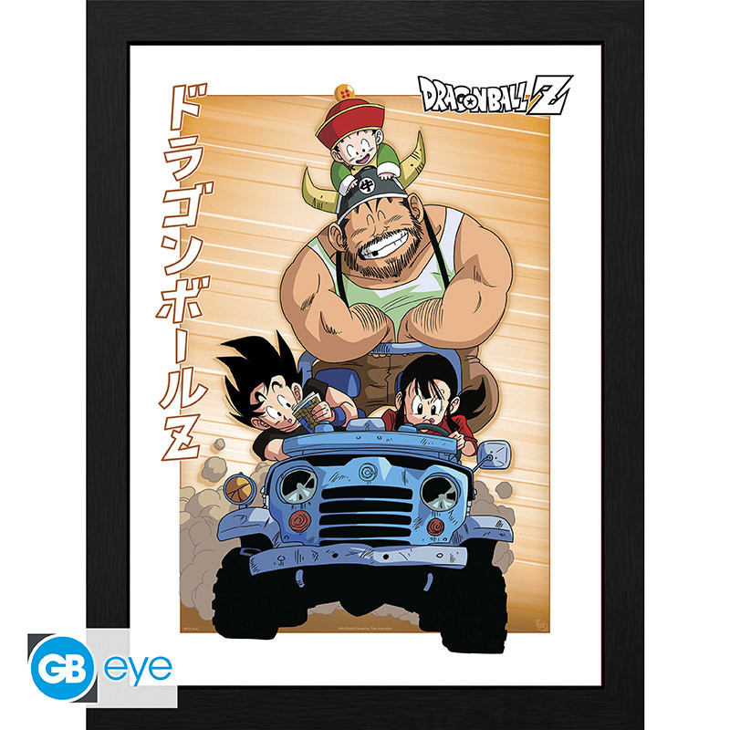 DRAGON BALL TIRAGE ENCADRE VOYAGE FAMILIALE 30 X 40 CM