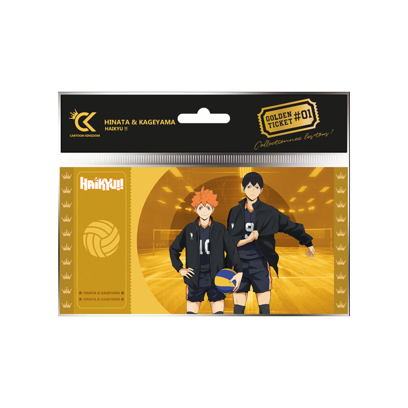 HINATA ET KAGEYAMA HAIKYU GOLDEN TICKET COL01