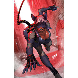 ABSOLUTE CATWOMAN 1 (OF 6) CVR B DAVID NAKAYAMA CARD STOCK VAR