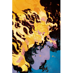 ABSOLUTE WONDER WOMAN 20 CVR A HAYDEN SHERMAN