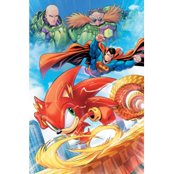 DC X SONIC THE HEDGEHOG THE METAL LEGION 1 (OF 5) CVR C SERG ACUNA CARD STOCK VAR