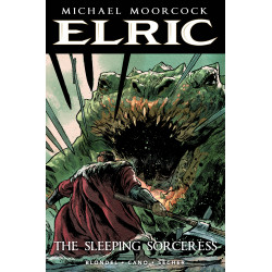 ELRIC THE SLEEPING SORCERESS 2 (OF 2) CVR C VALENTIN SECHER VAR (MR)
