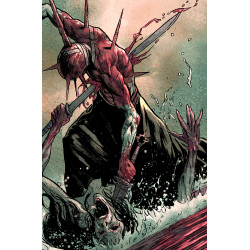 ELRIC THE SLEEPING SORCERESS 2 (OF 2) CVR D VALENTIN SECHER VIRGIN VAR (MR)