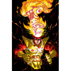 FURY OF FIRESTORM 2 (OF 6) CVR C RILEY ROSSMO CARD STOCK VAR