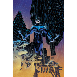 NIGHTWING 138 CVR B DANI CARD STOCK VAR