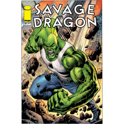 SAVAGE DRAGON 281 CVR C BRYAN HITCH VAR (MR)