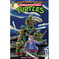TEENAGE MUTANT NINJA TURTLES: SATURDAY MORNING ADVENTURES 37 VARIANT C (MILLER)