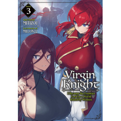 VIRGIN KNIGHT: I BECAME THE FRONTIER LORD IN A WORLD RULED BY WOMEN (LIGHT NOVEL) VOL. 3