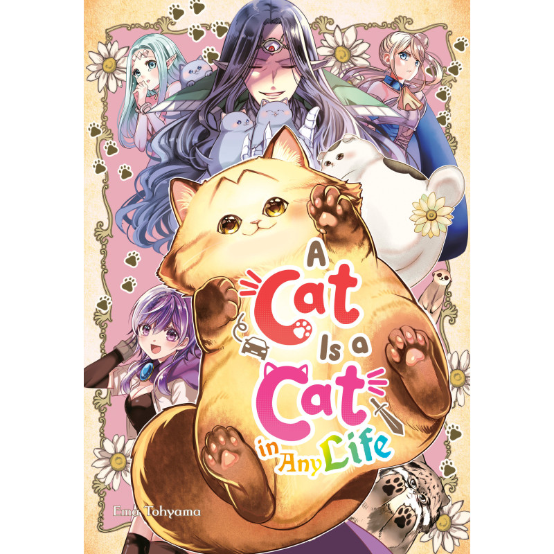 A CAT IS A CAT IN ANY LIFE