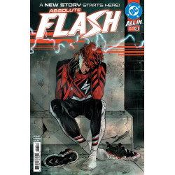 ABSOLUTE FLASH 13 CVR A NICK ROBLES