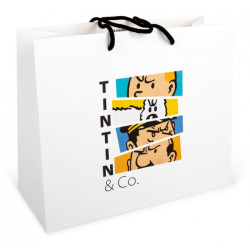 TINTIN SAC CADEAU COULEUR 35X30X14CM
