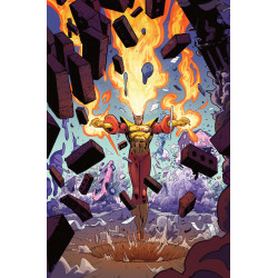 FURY OF FIRESTORM 1 (OF 6) CVR B RILEY ROSSMO CARD STOCK VAR