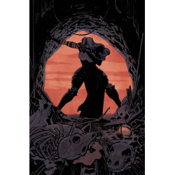 ABSOLUTE WONDER WOMAN 21 CVR A HAYDEN SHERMAN