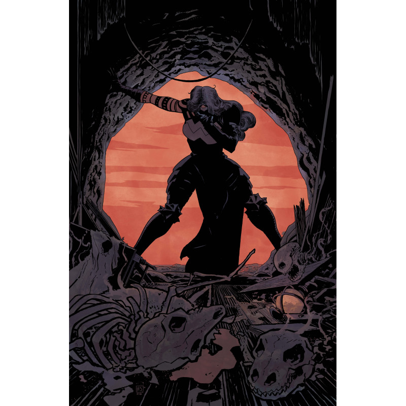 ABSOLUTE WONDER WOMAN 21 CVR A HAYDEN SHERMAN