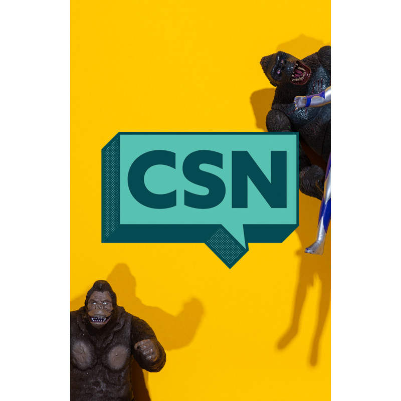 COMIC SHOP NEWS 2024 (BUNDLE OF 100) (NET)