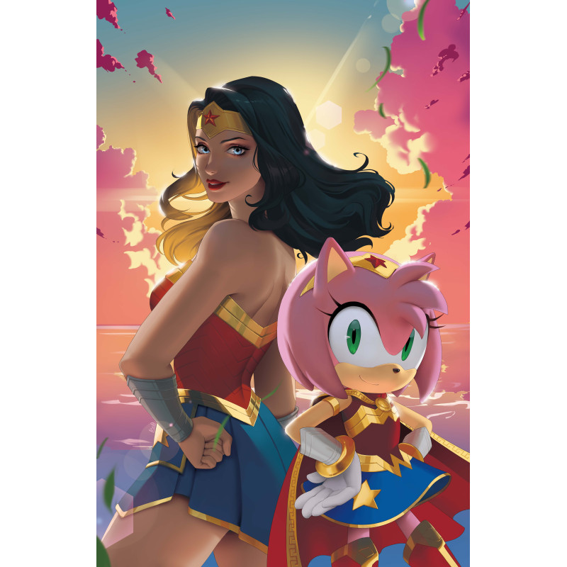 DC X SONIC THE HEDGEHOG THE METAL LEGION 2 (OF 5) CVR B R1C0 CARD STOCK VAR