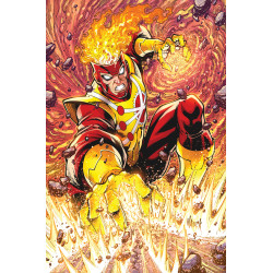 FURY OF FIRESTORM 3 (OF 8) CVR B TODD NAUCK CARD STOCK VAR