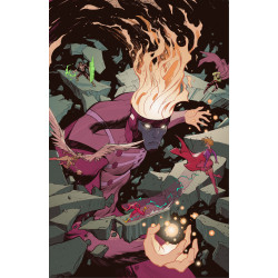 FURY OF FIRESTORM 3 (OF 8) CVR D STEPHEN GREEN CARD STOCK VAR