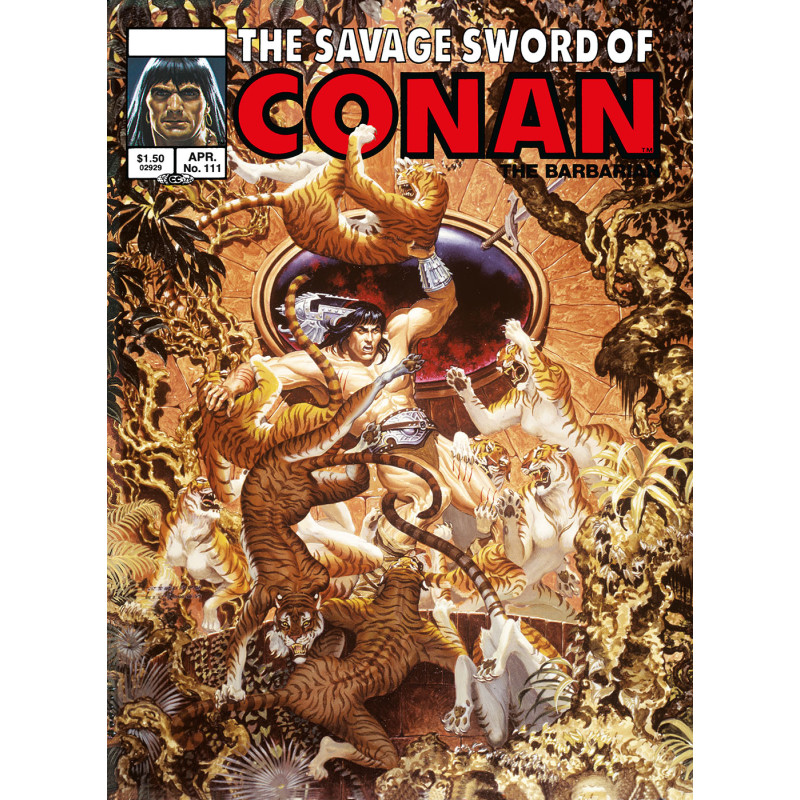 SAVAGE SWORD OF CONAN ORIGINAL COMICS OMNIBUS VOL 08 REGULAR EDITION STEPHEN HICKMAN (MR)