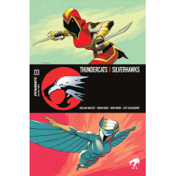 THUNDERCATS X SILVERHAWKS 3 CVR A DECLAN SHALVEY