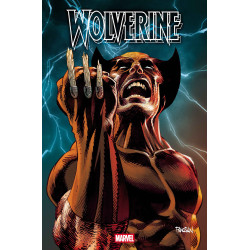 WOLVERINE 22