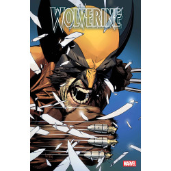 WOLVERINE 22 LEINIL YU FOIL VARIANT