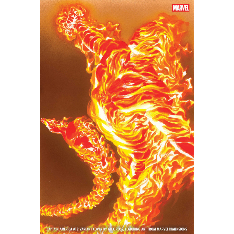 CAPTAIN AMERICA 12 ALEX ROSS MARVEL DIMENSIONS VARIANT ARM