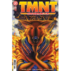 TMNT: JOURNEYS 11 COVER A (DOONEY & LAWSON)