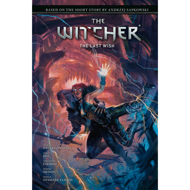 ANDRZEJ SAPKOWSKI'S THE WITCHER: THE LAST WISH