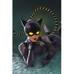 ABSOLUTE CATWOMAN 2 (OF 6) CVR B LESLEY LEIRIX LI CARD STOCK VAR