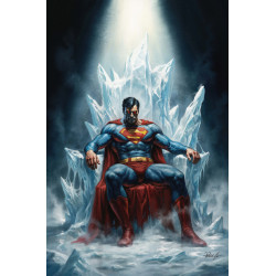 ADVENTURES OF SUPERMAN BOOK OF EL 10 (OF 12) CVR B LUCIO PARRILLO CARD STOCK VAR