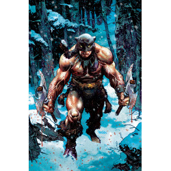 FIRE AND ICE DARKWOLF 1 CVR H DAN PANOSIAN METAL PREMIUM VAR