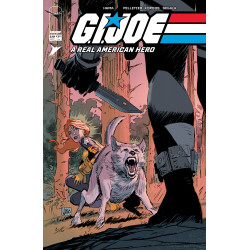 GI JOE A REAL AMERICAN HERO 330 CVR A LEE WEEKS & DAVE STEWART