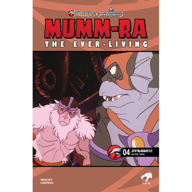 MUMM-RA THE EVER LIVING 4 CVR E ANIMATION ART VAR