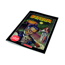 PS ARTBOOKS MAGAZINE SCREAM 6