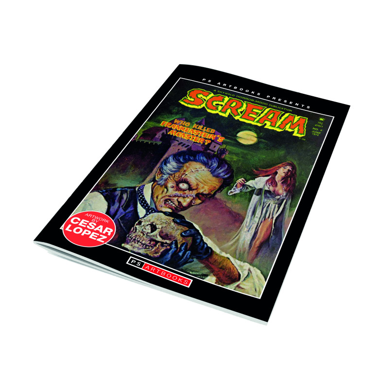 PS ARTBOOKS MAGAZINE SCREAM 6