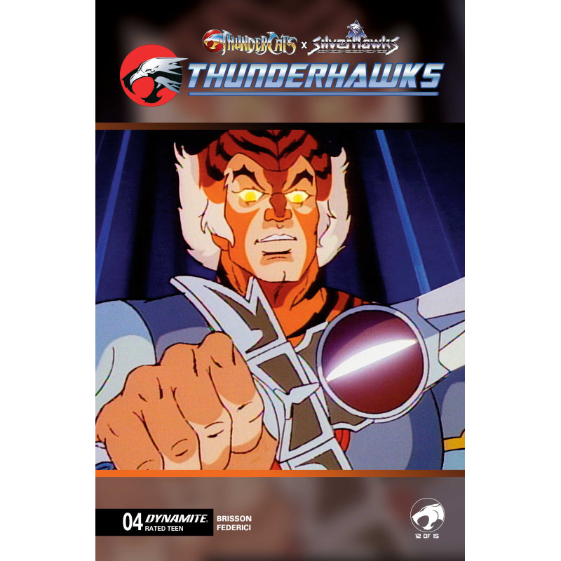 THUNDERCATS X SILVERHAWKS THUNDERHAWKS 4 CVR E ANIMATION ART VAR