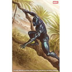 CIVIL WAR: UNMASKED 3 ALEX ROSS MARVEL DIMENSIONS VARIANT