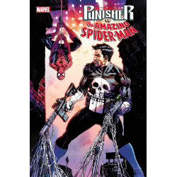 PUNISHER VS. SPIDER-MAN 1