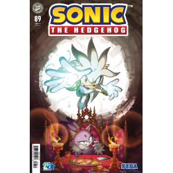 SONIC THE HEDGEHOG 89 COVER A (ARQ)