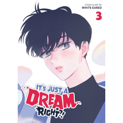 IT'S JUST A DREAM... RIGHT?! (COMIC) VOL. 3