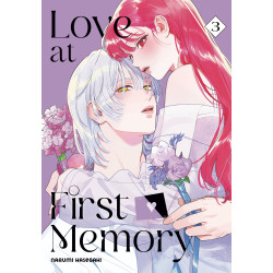 LOVE AT FIRST MEMORY 3